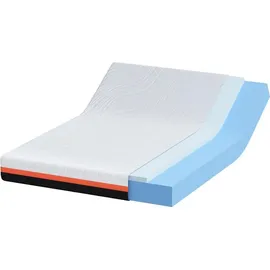 vidaXL Gelschaum 160 x 200 cm H4