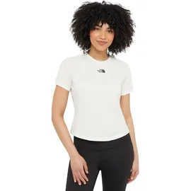 The North Face Foundation Raglan T-Shirt White Dune Light Heather L