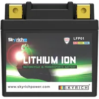 Skyrich LFP01 0 Ah 0 A