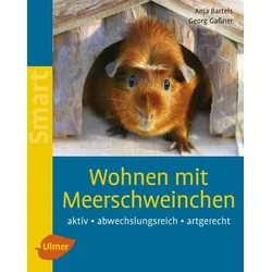 Wohnen mit Meerschweinchen