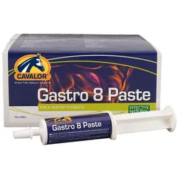 Cavalor Gastro aid Paste