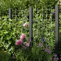 Plus Stahlspalier 90x180 cm, Stahl verzinkt