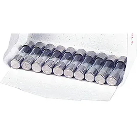 Eska Feinsicherung träge Glasrohr mit Löschmittel 4 A (5 x 20 mm) - 10 Stück