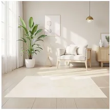 Homestyle4u Teppich 120x180 cm Beige 3018