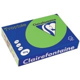 Clairefontaine Trophée A4 80 g/m2 500 Blatt maigrün