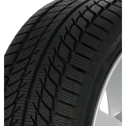 SW608 205/55 R16 91H  Winterreifen