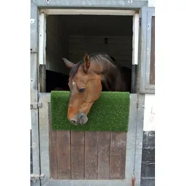 Kerbl Kratz- und Reinigungsmatte 40x60 cm Grün