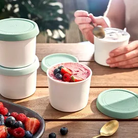 Springlane 4er-Set Eisbehälter für Speiseeis 400 ml, Aufbewahrungsbehälter, Gefrierdosen, Eis-Container BPA-frei in Lebensmittelqualität