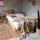 Karup Kanso Bed 180 x 200 cm Beige