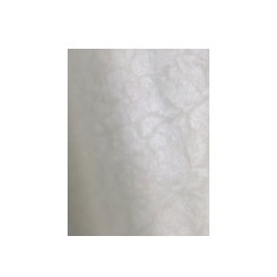 ELBE blue Line Exclusive Line – Pearl SBGD 160 1,65 x 25,0 m 41,25 m2 1,6 mm white pearl