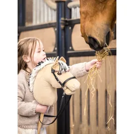 my hobby horse - Steckenpferd Fjord