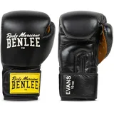 BENLEE Rocky Marciano Benlee Boxhandschuhe Evans