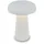 Briloner Tischlampe Lichtgrau