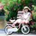 Royalbaby Royal Baby Girls Swan Kinderfahrrad, Rosa, 18 Zoll Fahrrad