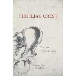 The Iliac Crest