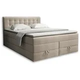 Deine Möbel 24 Boxspringbett 160 x 200 cm H3 Beige/Grau