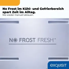Exquisit KGC5380-115-NF-040A Kühl-Gefrierkombination (377 l, 2005 mm hoch, Weiß)