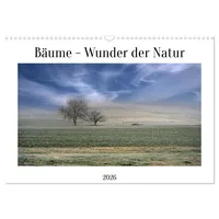 Calvendo Bäume - Wunder der Natur (Wandkalender 2026 DIN