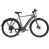 AsVIVA BC1-C Urban Bike Men