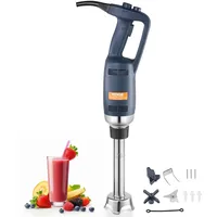 Vevor 254 mm Handmixer