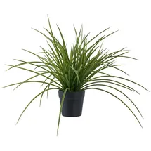 tinkaro Künstliche Zimmerpflanze Künstliche Pflanze Gras H:45 cm Grün, tinkaro, Höhe 45 cm grün|schwarz