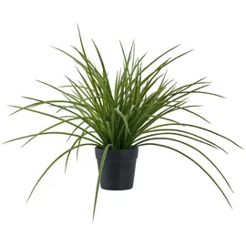 tinkaro Künstliche Zimmerpflanze Künstliche Pflanze Gras H:45 cm Grün, tinkaro, Höhe 45 cm grün|schwarz