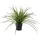 tinkaro Künstliche Zimmerpflanze Künstliche Pflanze Gras H:45 cm Grün, tinkaro, Höhe 45 cm grün|schwarz