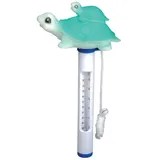 Evolution Thermometer Schildkröte türkis