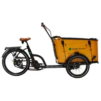 Greenstreet Lastenrad Family-Cargo 2023 20 Zoll RH 50,8 cm schwarz