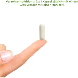 Vitality Nutritionals Magnesium 500 Komplex Kapseln 120 St.