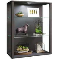 VCM Vitrine Sammelvitrine Glasol LW