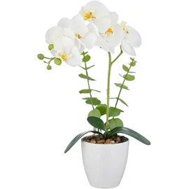 Creativ green Kunstorchidee CREATIV GREEN "Orchidee Phalaenopsis", 2 farben 2, H:40cm, Kunststoff, Kunstpflanzen, mit Eukalyptuszweigen