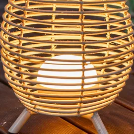 NEW GARDEN Bossa 30 Beige