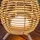 NEW GARDEN Bossa 30 Beige
