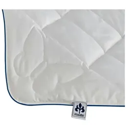 IRISETTE Steppbett Wasch-Seide - weiß - Maße cm,