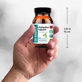 DR WAKDE'S® Natural Health Care, London Phyllanthus Kapseln 60 Vegi Caps