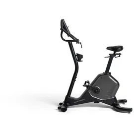 Schwinn 590U grau