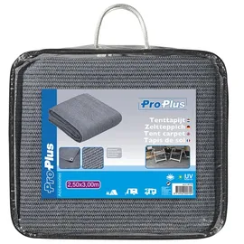 PRO PLUS Zeltteppich 2,50 x 3,00 m