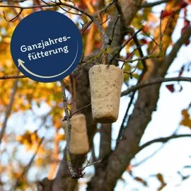 Lyra Pet Lyra Pet® Protein Boost Körner Riegel mit Mehlwürmern