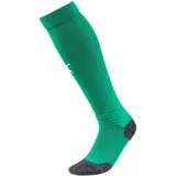 Puma Liga Socks