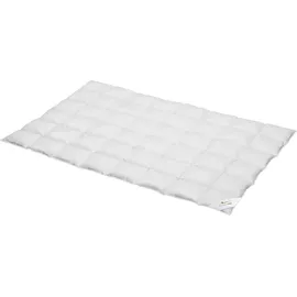 BettwarenShop Daunendecke Comfort medium, Füllung: 60% Daunen, 40% Federn 155x220 cm