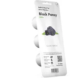 Click & Grow Schwarze Petersilie Nachfüllkapseln, 3er-pack für Smart Garden