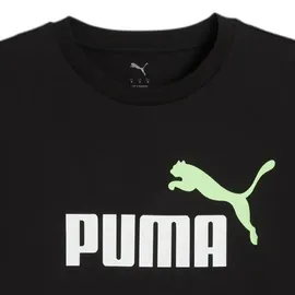 Puma Unisex ESS 2 Color No. 1 Logo Tee, T-Shirts, Puma Black-Spring Fern,