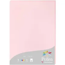 Clairefontaine 24281C Packung mit 25 Karten Pollen 210g, DIN A4, 21 x 29,7cm, Rosa