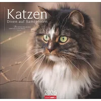 Weingarten Katzen - Diven auf Samtpfoten Kalender 2026 /
