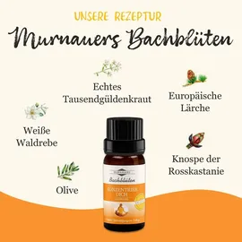 Klosterfrau Bachblüten Murnauers Konzentrier Dich Globulini 10 g