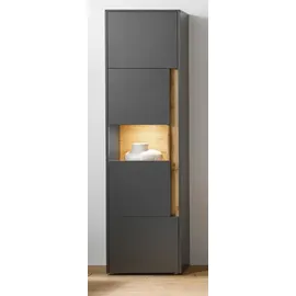 furn.design Aktenschrank grau Eiche, Wotan Holzwerkstoff, Nachbildung,Eiche, 4 Fächer, Rechteckig, 50x200x40 cm, Arbeitszimmer, Aktenschränke