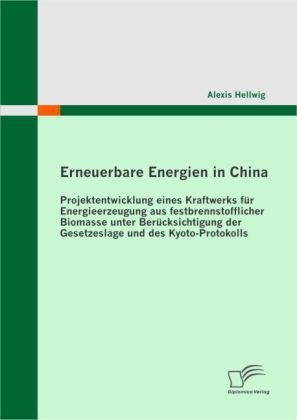 Erneuerbare Energien In China - Alexis Hellwig  Kartoniert (TB)
