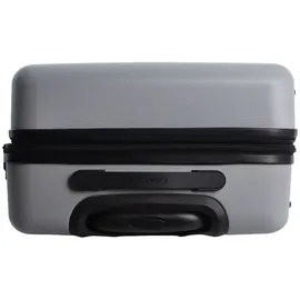 DISCOVERY Koffer REPTILE silber