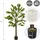 ML-Design Kunstpflanze Orangenbaum 160 cm, aus Kunststoff,
